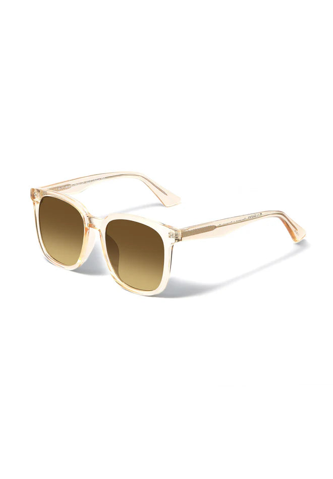 Eco Shades Morello Sunglasses in Champagne