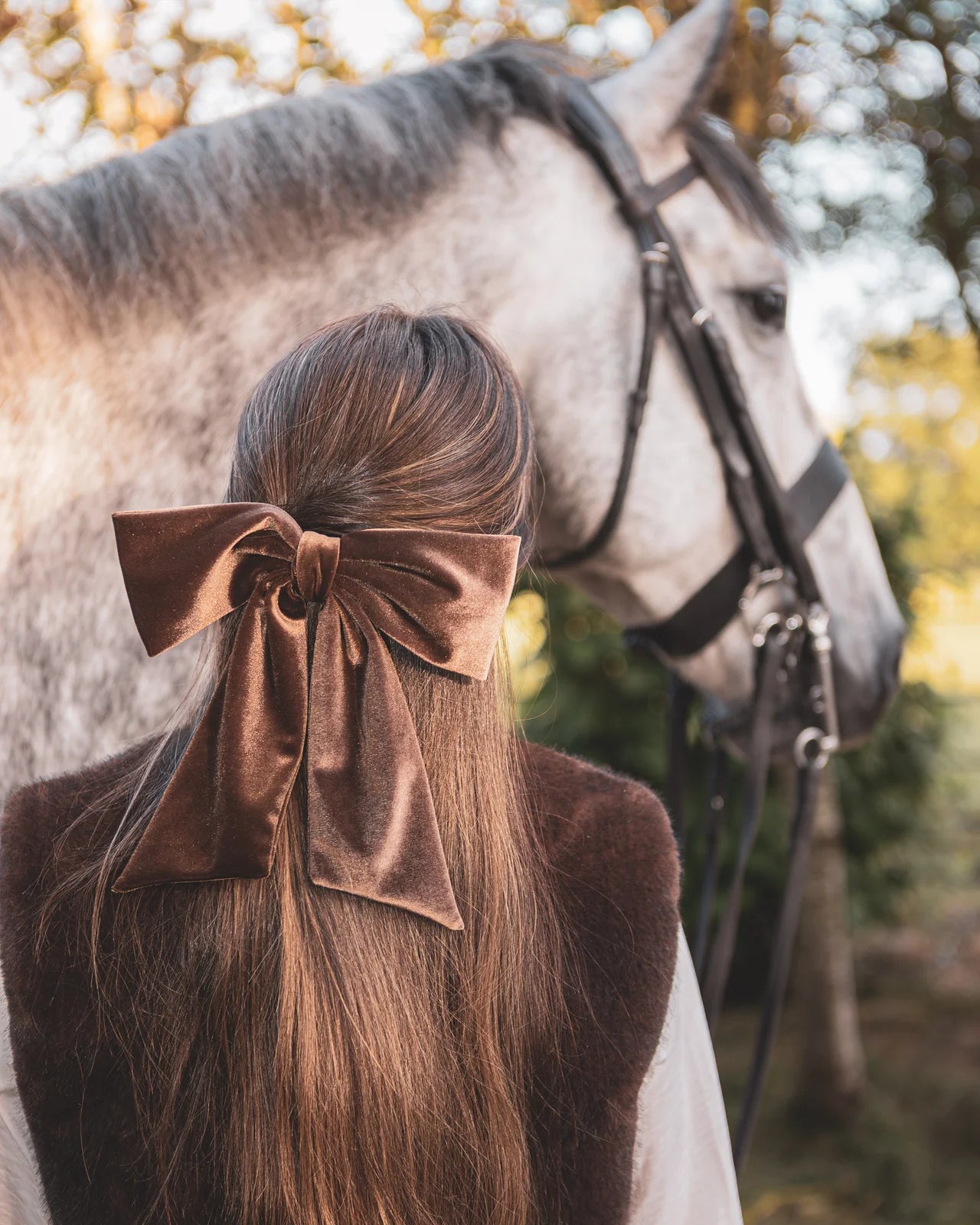 Bury Velvet Large Bow Clip in Bear Brown