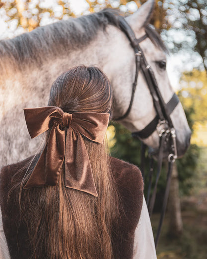 Bury Velvet Large Bow Clip in Bear Brown
