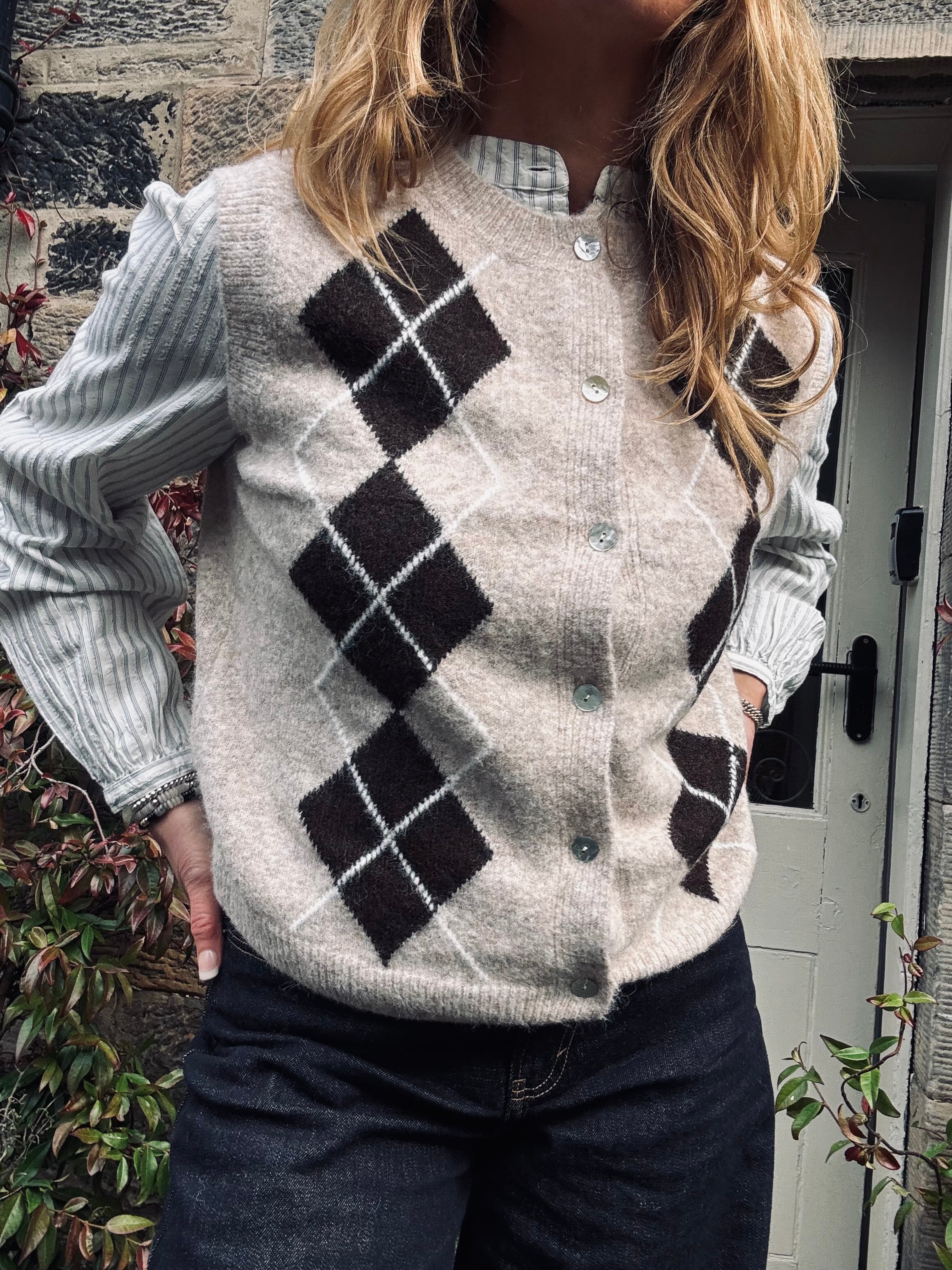 Argyl Neutral Vest